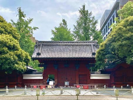 花角英世は東大出身
