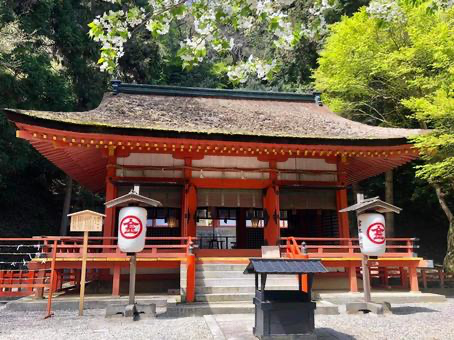 家族で旅行に行った金刀比羅宮