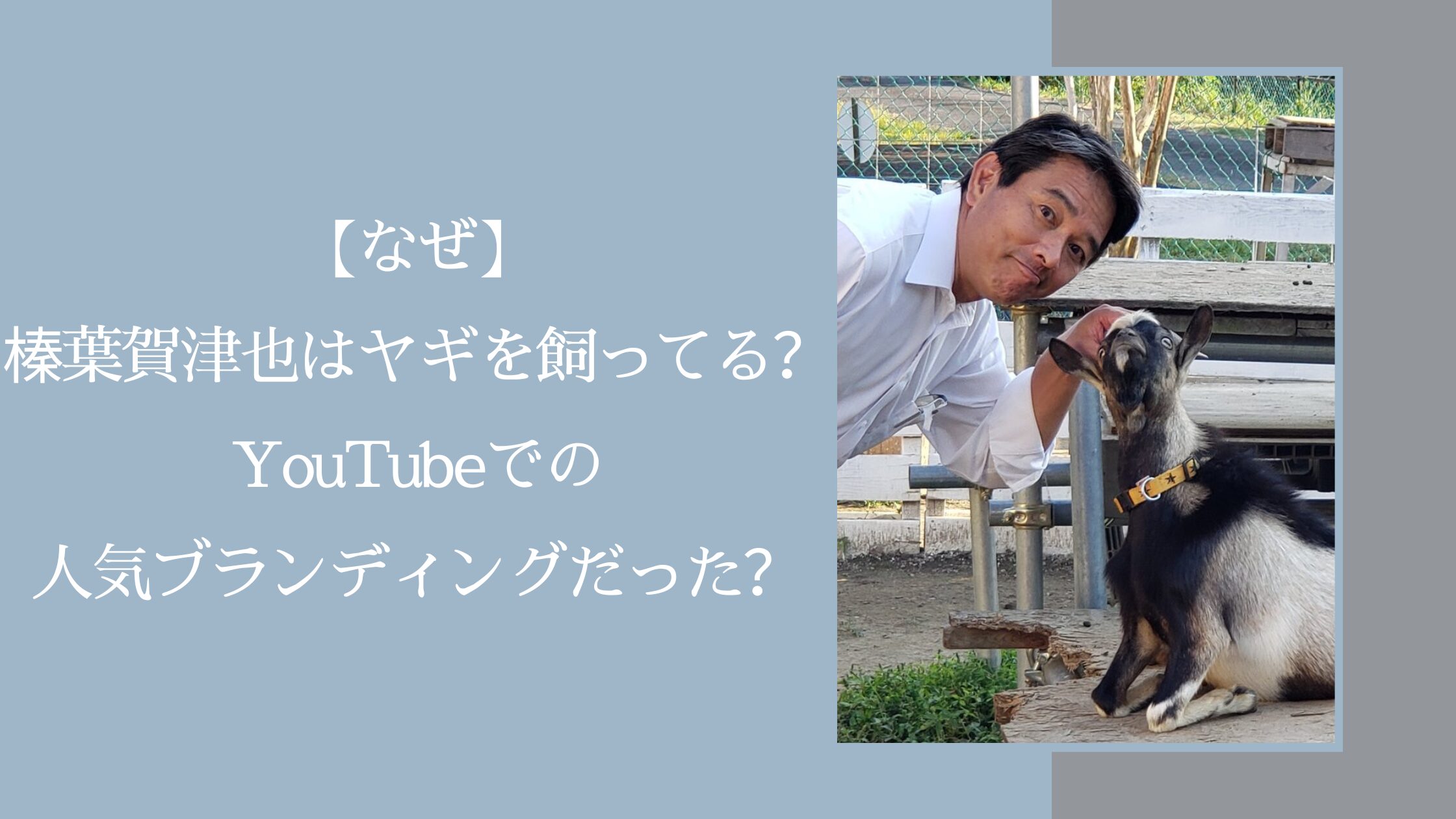 榛葉賀津也のヤギに関する記事のアイキャッチ画像