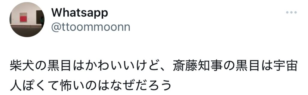 斎藤知事の目が宇宙人っぽいというXのスクショ