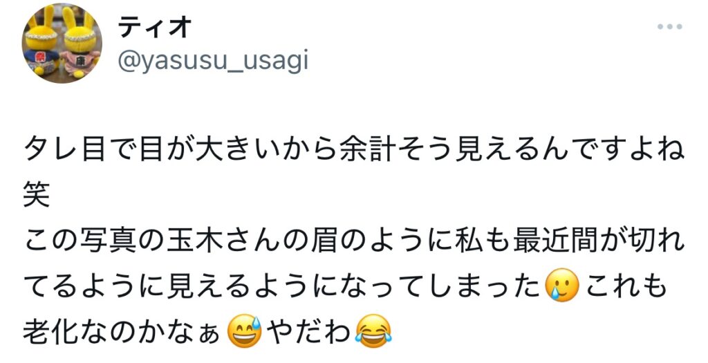 玉木雄一郎のアイラインに関するXのスクショ
