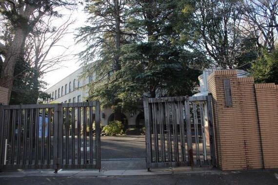 水野素子は芸大附属高校出身
