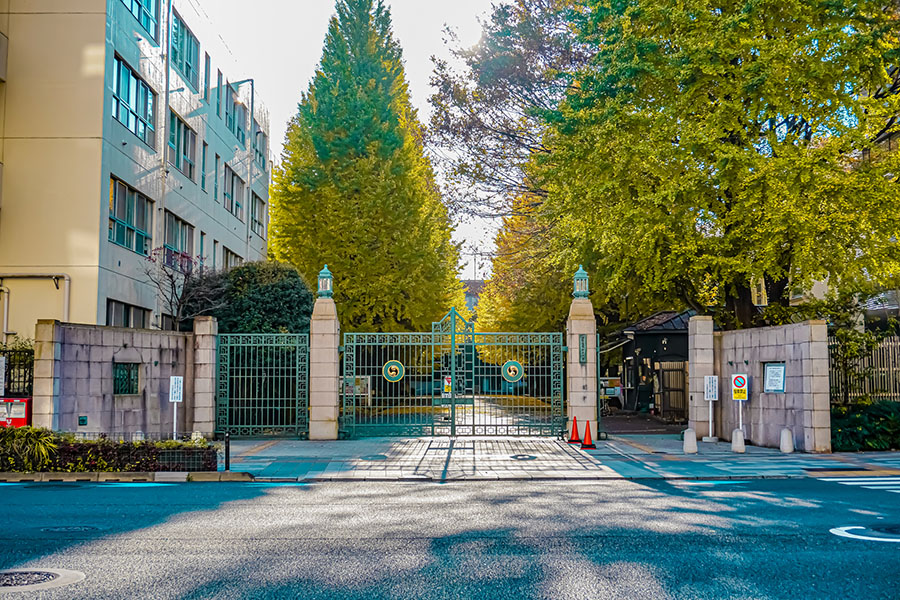 お茶の水大学