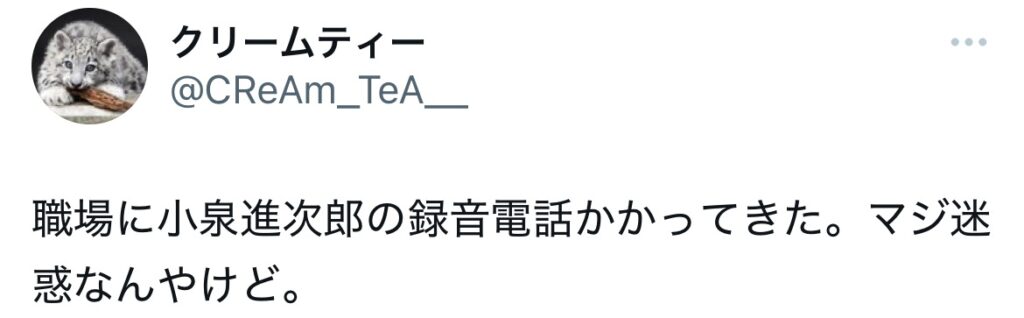小泉進次郎の自動電話かかってきた人のXスクショ