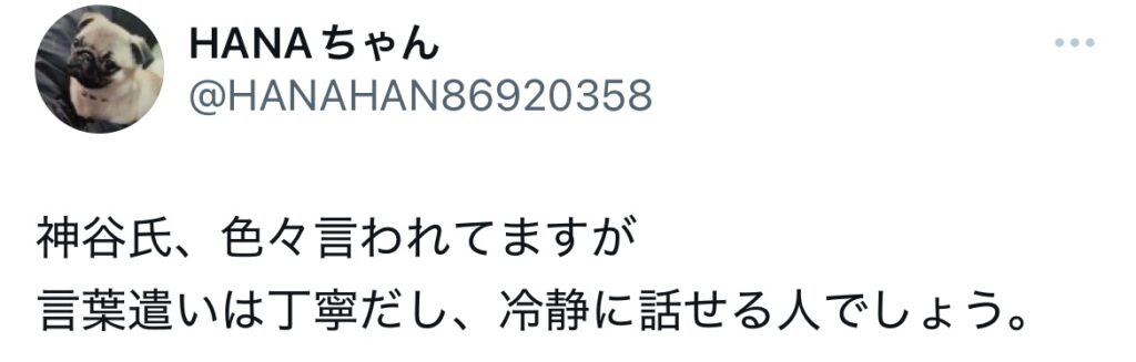 神谷宗幣に関するXスクショ