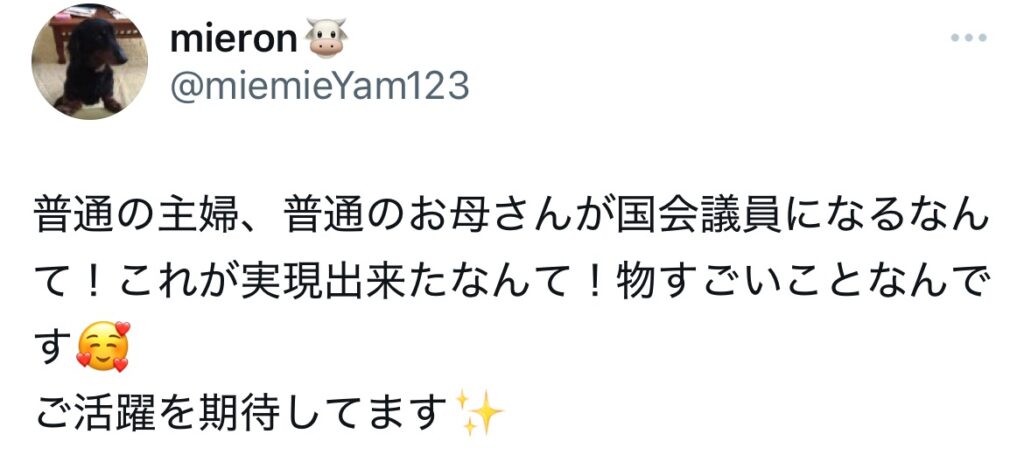 普通のお母さんが国会議員に！