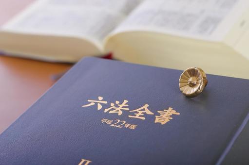 法律の専門書である六法全書