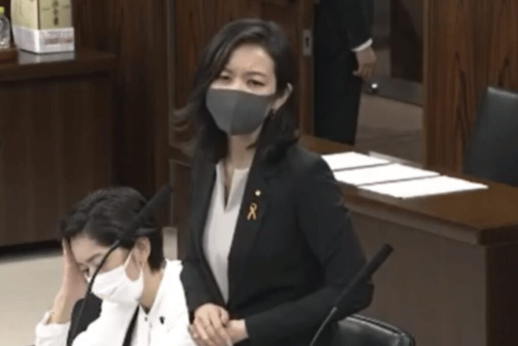 梅村みずほ 法務委員会
