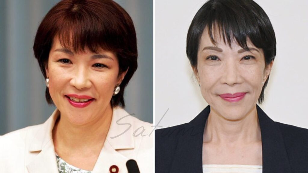 高市早苗の眉毛の比較画像