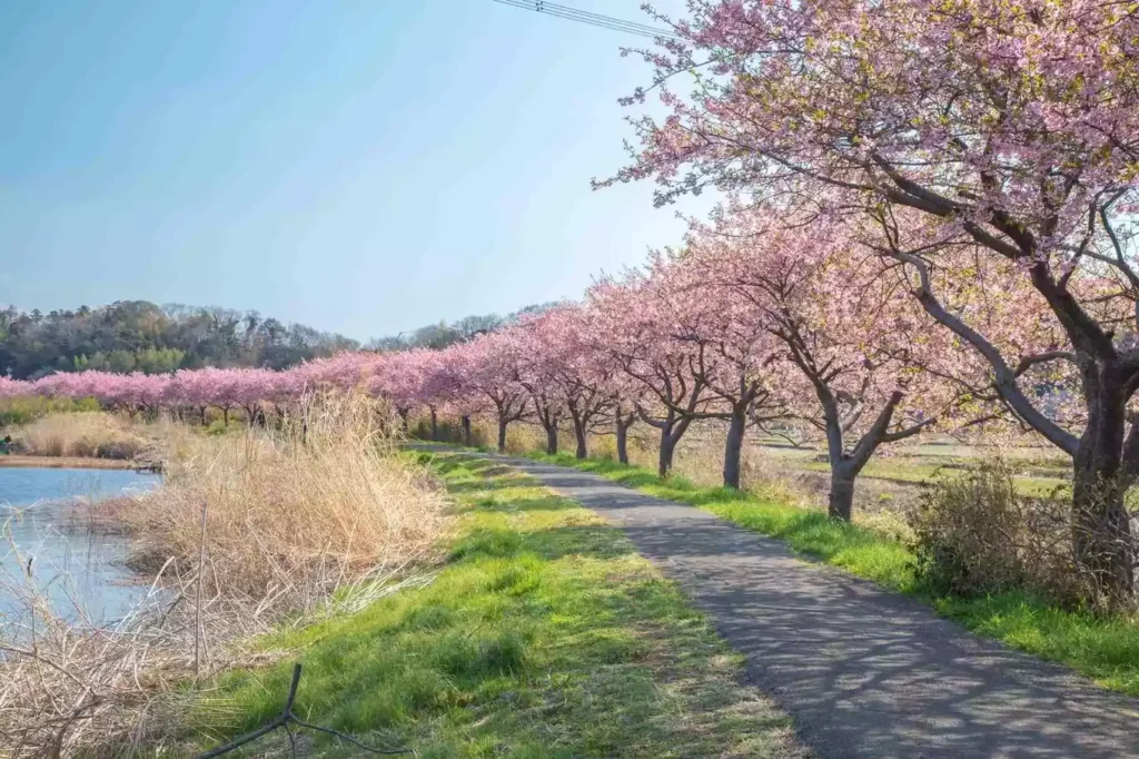 千葉県八千代市