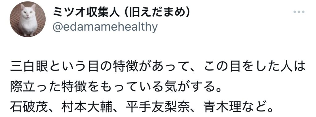 石破茂の目に関するポストスクショ
