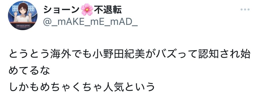小野田紀美の評判に関するXのスクショ