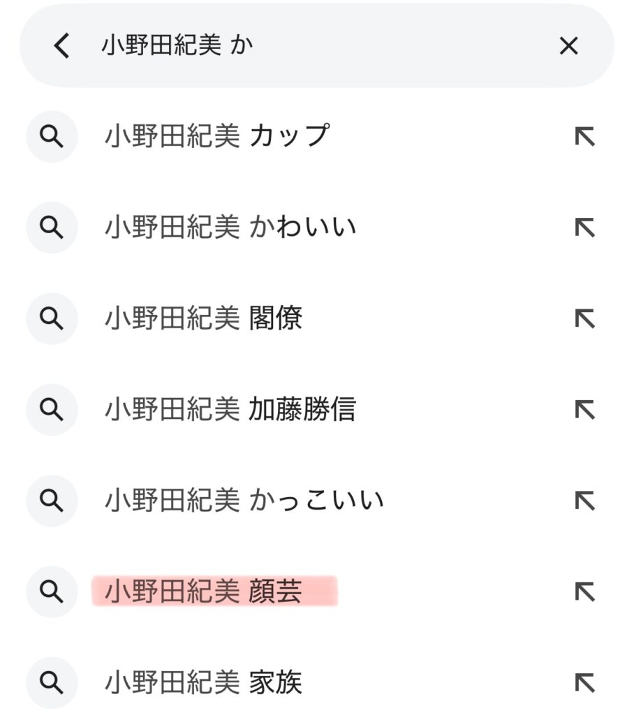 小野田紀美のサジェストのスクショ