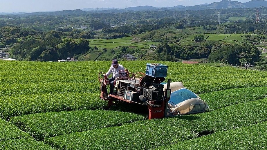 お茶の街・菊川市