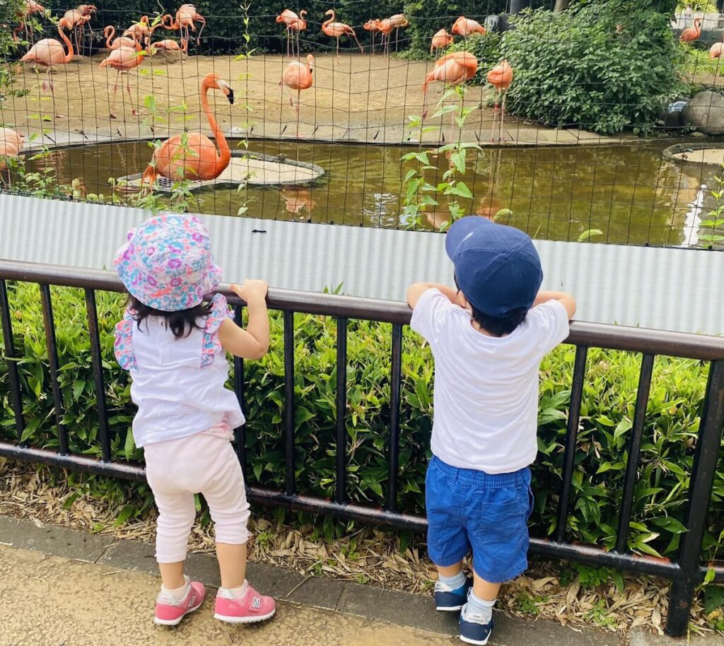 中曽根康隆　双子　動物園