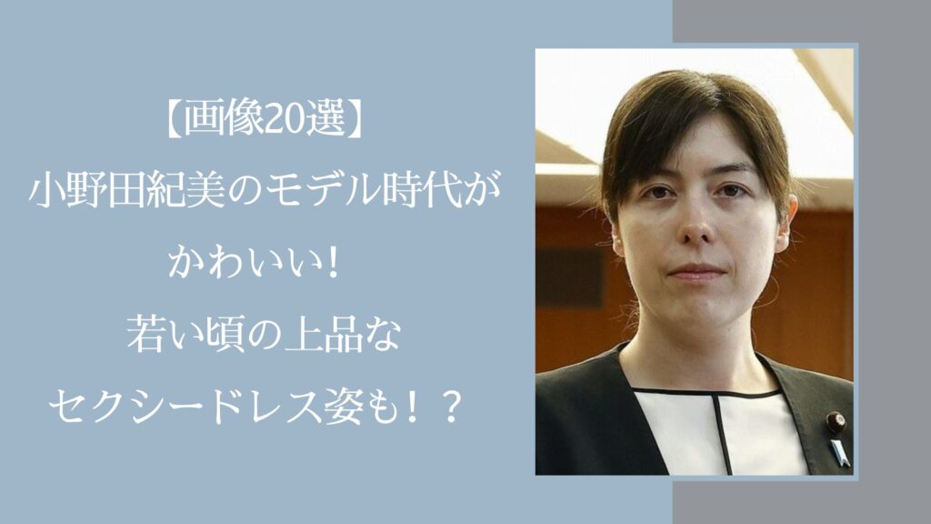 小野田紀美の可愛い画像に関する記事のアイキャッチ画像