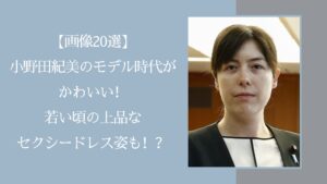 小野田紀美の可愛い画像に関する記事のアイキャッチ画像