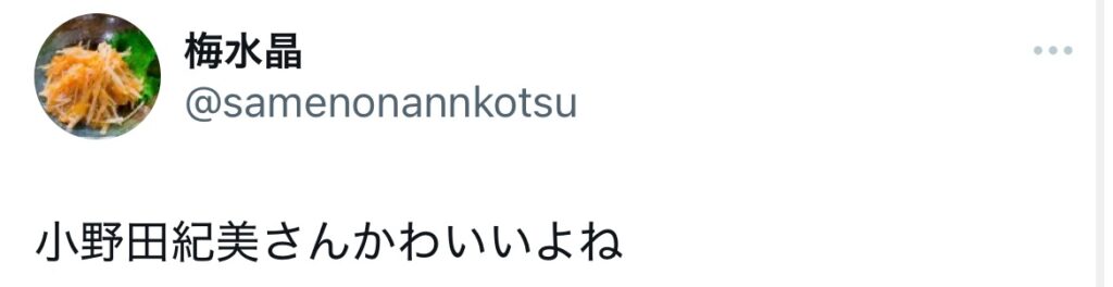小野田紀美が可愛いと言われているXのスクショ