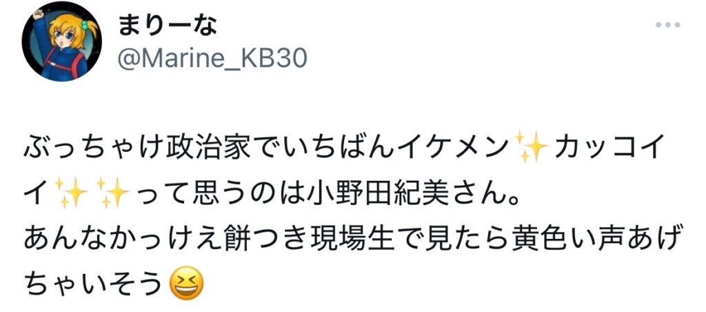小野田紀美がイケメンとポストされているXのスクショ