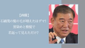 石破茂の髪の毛に関する記事のアイキャッチ画像