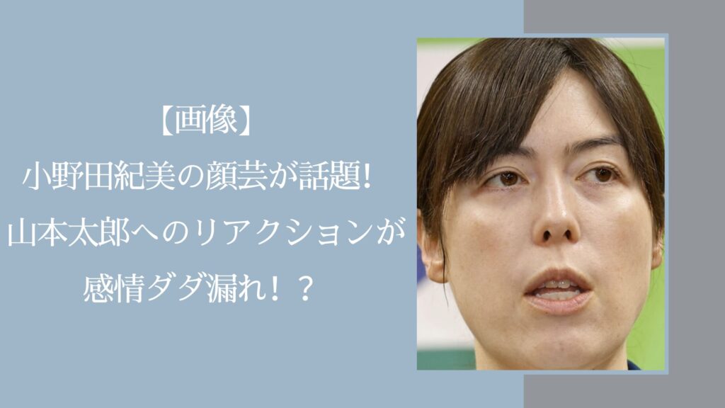 小野田紀美の顔芸に関する記事のアイキャッチ画像