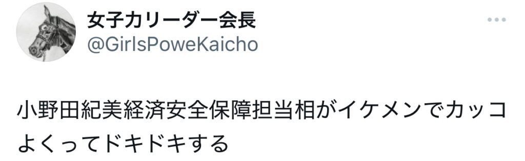 小野田紀美がイケメンと言われているXのスクショ