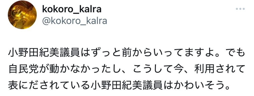 小野田紀美が利用されているとポストしているXのスクショ
