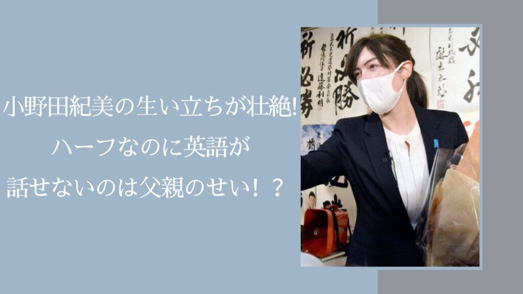小野田紀美のハーフに関する記事のアイキャッチ画像