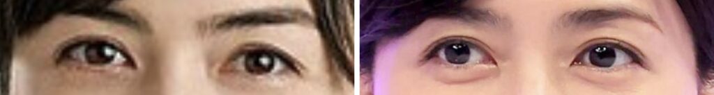 小野田紀美と内田有紀の目の比較画像