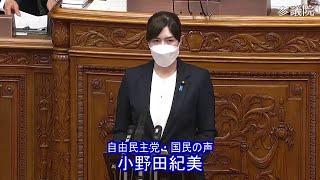 小野田紀美