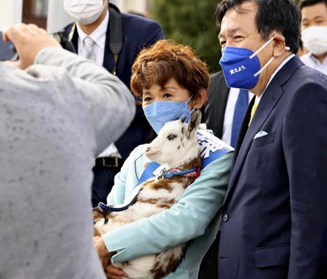 ヤギと選挙活動をする鎌田さゆり