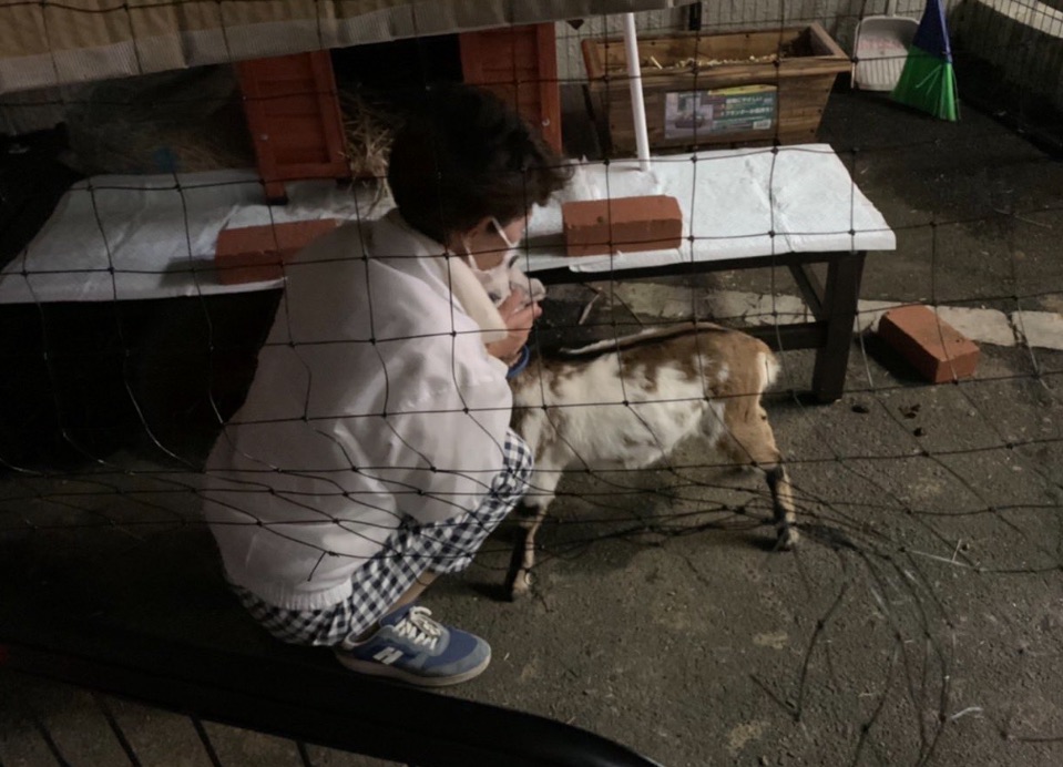 ヤギと暮らしている鎌田さゆり