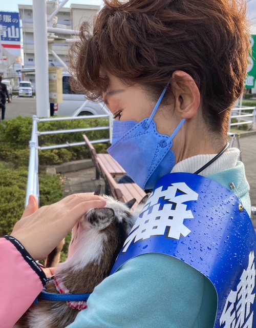 選挙事務所所長のヤギと鎌田さゆり