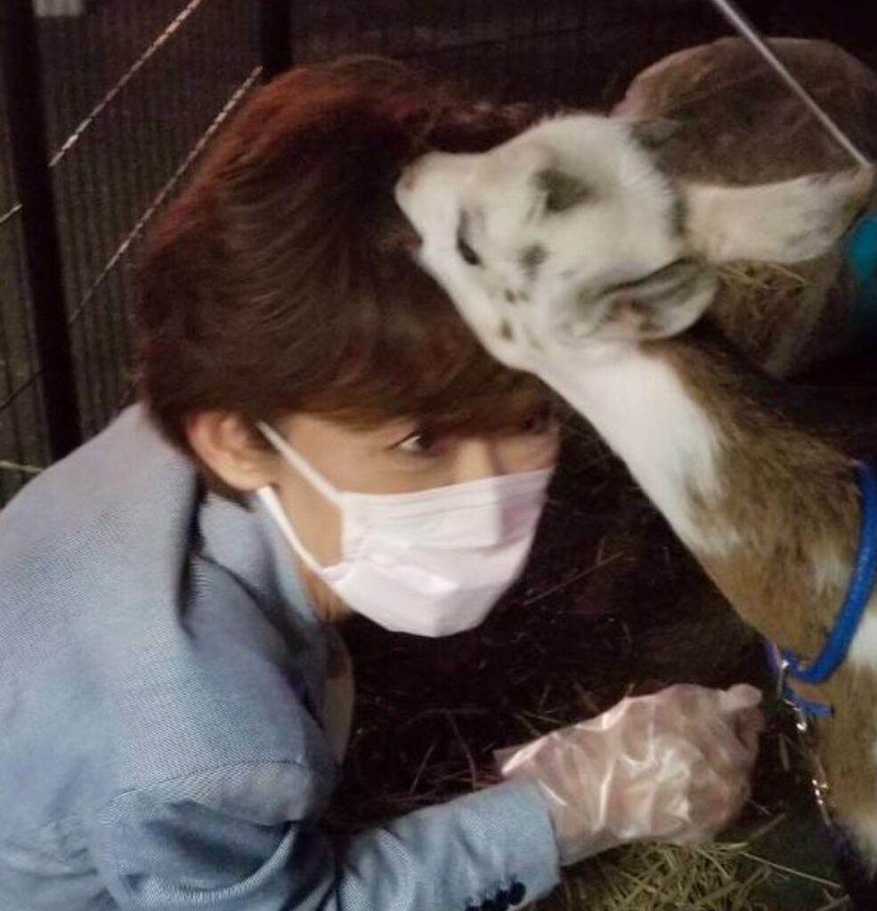 鎌田さゆりとやぎ