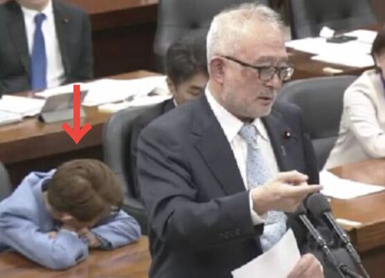 鎌田さゆりの国会