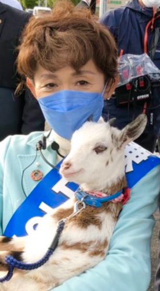 鎌田さゆりとヤギの仙台メリー