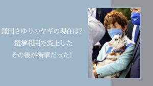 鎌田さゆりのヤギの現在に関する記事のアイキャッチ画像