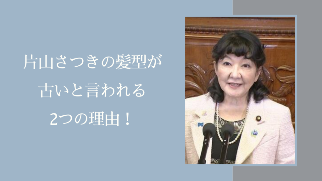 片山さつきの髪型に関する記事のアイキャッチ画像