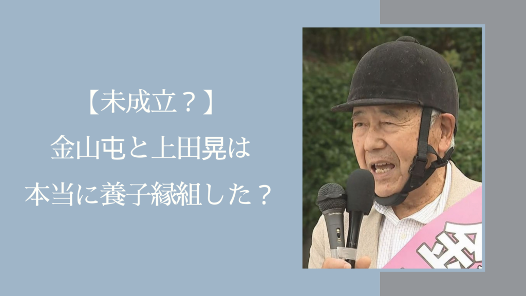 金山屯の養子縁組に関する記事のアイキャッチ画像